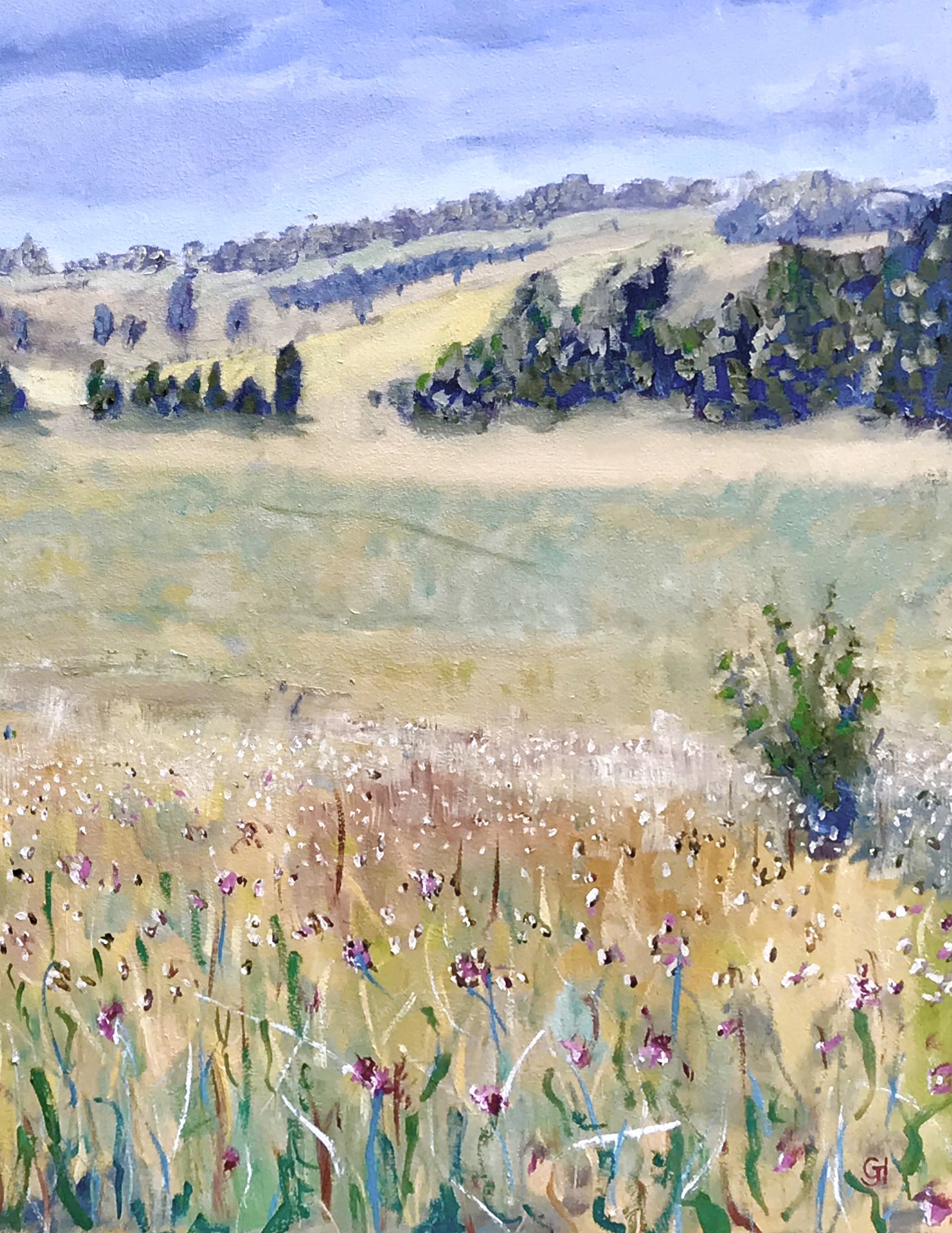 View from Vicki's Studio ( 120 x 80 cm) — Geoff Hargraves Art